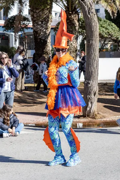 西班牙帕拉莫斯 2024年2月11日 在西班牙加泰罗尼亚的一个小镇帕拉莫斯举行的传统狂欢节游行 — 图库照片