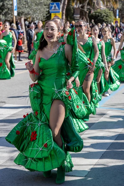 Palamos España Febrero 2024 Desfile Carnaval Tradicional Una Pequeña Ciudad —  Fotos de Stock