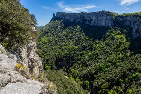 Krásná Španělská Horská Krajina Nedaleko Malé Vesnice Rupit Katalánsku Národní Royalty Free Stock Obrázky
