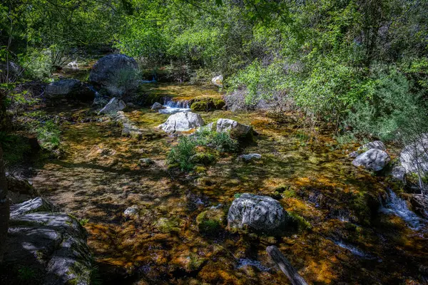 萨德尔内 加泰罗尼亚 西班牙的绿山景观 免版税图库图片