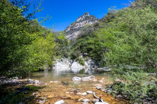 Krajina Zelených Hor Sadernes Katalonie Španělsko Stock Obrázky