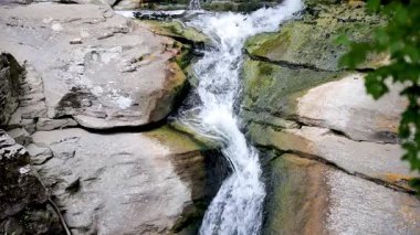 İspanya Katalonya 'daki Rupit köyü yakınlarındaki ormanda küçük bir nehir.