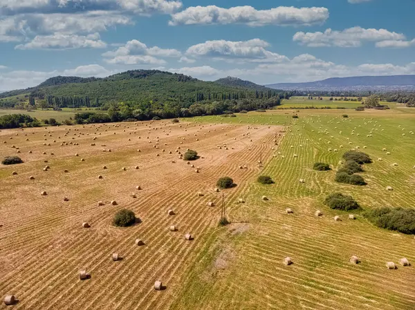 Balaton Gölü yakınlarındaki bir Macar arazisinden insansız hava aracı resmi.
