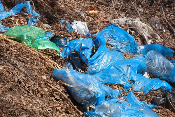 Blue torn complete garbage bags with dry leaves and other garbage lie together on the street, outdoors. removal, sorting and recycling rubbish.