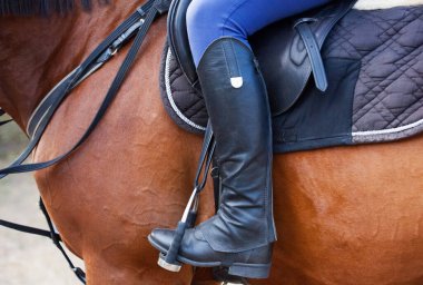 Sürücü kahverengi bir aygırın üzerinde oturur. At biniciliği