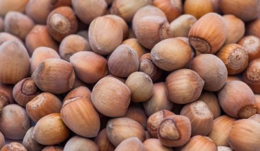 Soyulmamış fındıkların yakın plan çekimleri