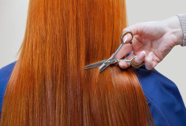 Der Friseur Schneidet Einem Jungen Mädchen Mit Roten Haaren Einem — Stockfoto