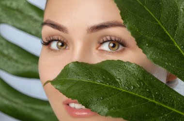 Beautiful woman with clean skin on a background of a sheet of monstera with drops of water. Eyelash Extension Procedure. clipart