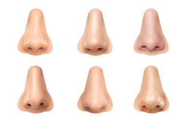 Beyaz arka planda izole edilmiş insan burunları.