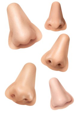 Beyaz arka planda izole edilmiş insan burunları.