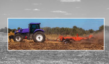 Big purple tractor plows the field and removes the remains of previously mown sunflower. Part of the cultivator, steel, round discs in a row close-up. Work agricultural machines. Harvest. clipart