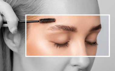 Makeup artist combs  and plucks eyebrows after dyeing in a beauty salon.Professional makeup and cosmetology skin care. clipart