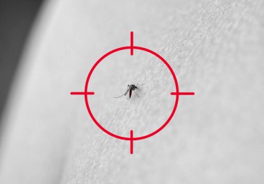 Bir sivrisinek bir insanın midesini ısırır. Böcek deriyi ısırdı..