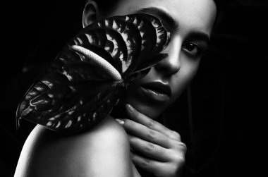 Sağlıklı ve güzel makyajlı çekici bir kızın portresi. Estetik kozmetik ve makyaj konsepti. Elinde kırmızı bir çiçek tutuyor..