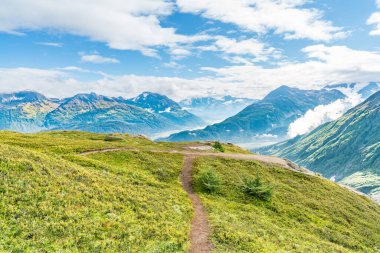Alaska, Seward yakınlarındaki Kenai Fjords Ulusal Parkı 'ndaki Buzul Yolu çıkışında yürüyüş izleri var.
