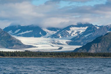 Alaska, Seward yakınlarındaki Kenai Fjords Ulusal Parkı 'ndaki Diriliş Körfezi boyunca Bear Buzulu