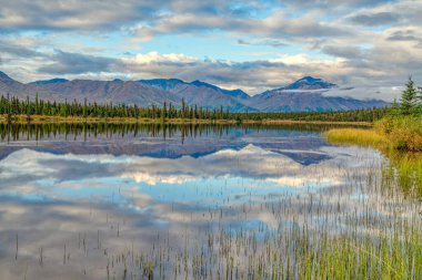 Alaska 'daki Denali otoyolu boyunca uzanan bir gölün sabah yansıması.