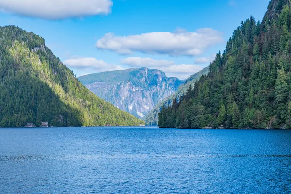 Alaska, Ketchikan yakınlarındaki Misty Fjords Ulusal Anıtı 'nda sahil boyunca güzel bir manzara.