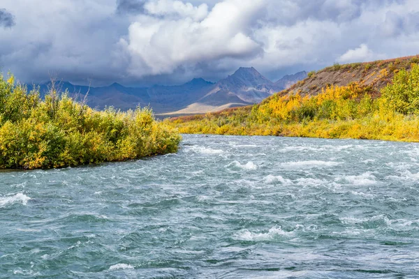 Podzimní Potok Tundrou Podél Dálnice Denali Aljašce — Stock fotografie