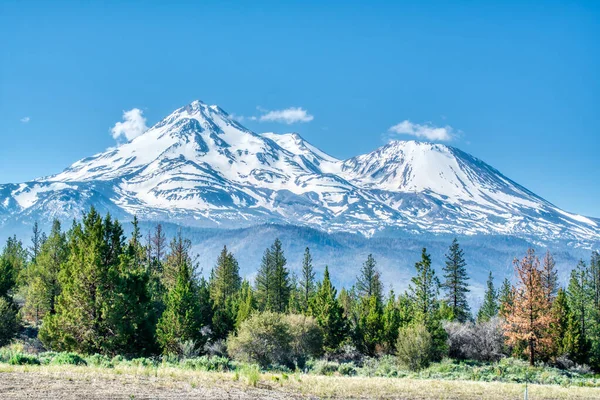 Mount Shasta Dormant Volcano Siskiyou California Cascade Mountains Northern California — Stock Photo, Image