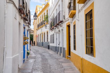 Cordoba, İspanya - 30 Ağustos 2023: İspanya 'nın tarihi Cordoba kentindeki dar eski kaldırım taşı caddesi