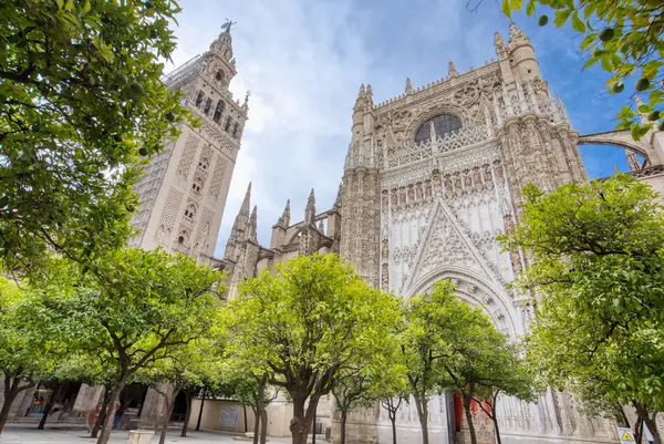Außenfassade Der Historischen Kathedrale Von Sevilla Spanien Stockbild
