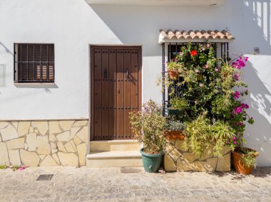 Endülüs, İspanya 'da eski güzel bir evin ön cephesinde çiçekler ve bitkiler