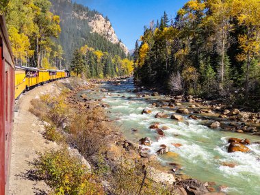 Durango, CO - 7 Ekim 2023: Tarihi Silverton-Durange Demiryolu Buharlı Treni Colorado 'nun San Juan dağlarındaki Animas Deresi boyunca kıvrılıyor