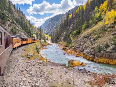 Durango, CO - 7 Ekim 2023: Tarihi Silverton-Durange Demiryolu Buharlı Treni Colorado 'nun San Juan dağlarındaki Animas Deresi boyunca kıvrılıyor