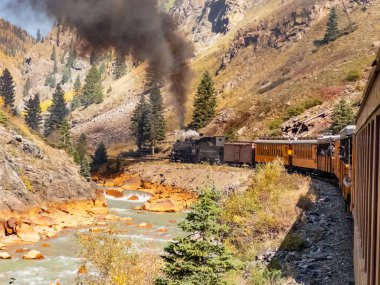 Durango, CO - 7 Ekim 2023: Tarihi Silverton-Durange Demiryolu Buharlı Treni Colorado 'nun San Juan dağlarındaki Animas Deresi boyunca kıvrılıyor