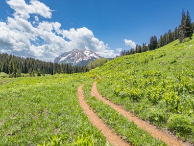 Colorado 'daki Crested Butte dağlarında çayırlarda koşan çift yollu toprak yol.