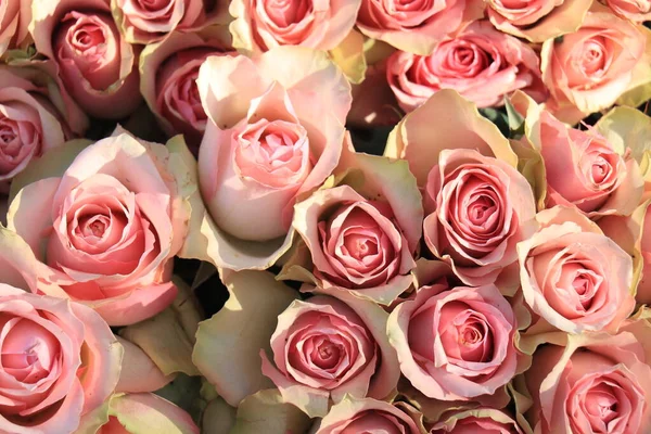 Fresh Pale Pink Roses Bridal Flower Arrangement — Stock Photo, Image