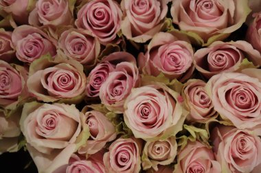 Çiçek aranjmanında bir grup pembe gül.