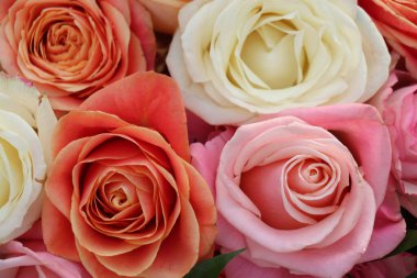 Büyük bir grup beyaz, pembe ve turuncu gül, düğün süslemelerinin bir parçası.