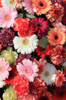 Karışık çiçek aranjmanı: bir düğün için farklı renklerde çeşitli Gerberler