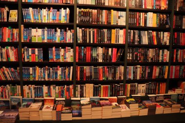 Heemstede, Hollanda - 26 Mayıs 2024: Kitapçı İçişleri, Seyahat Bölümü.