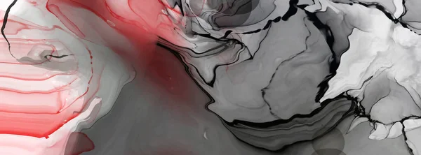 Schwarz Roter Pinselstrich Auf Weißem Hintergrund Gestaltungselement Vektorillustration Von Grunge — Stockvektor