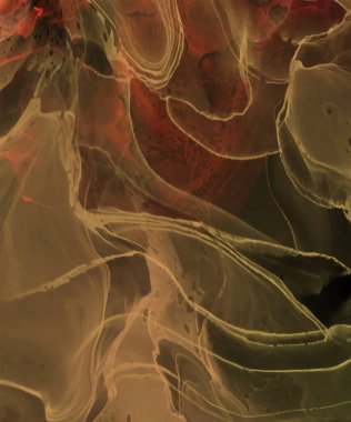 Renkli fırça elementleri olan zarif bir afiş tasarımı. Soyut dekorasyon. Vektör illüstrasyonu.