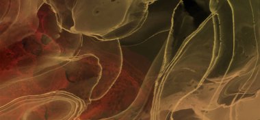 Renkli fırça elementleri olan zarif bir afiş tasarımı. Soyut dekorasyon. Vektör illüstrasyonu.