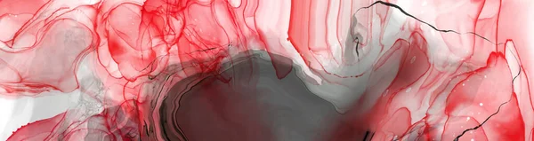 Μαύρο Κόκκινο Μελάνι Πινέλο Εγκεφαλικό Επεισόδιο Λευκό Φόντο Στοιχείο Σχεδιασμού — Διανυσματικό Αρχείο