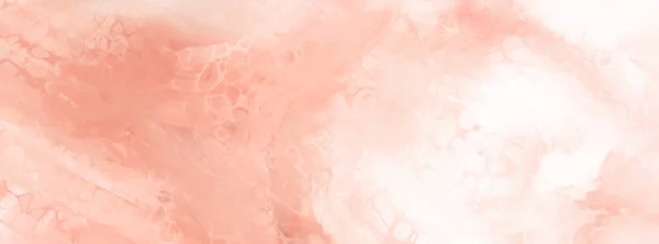 粉红珊瑚粉刷背景 设计横幅元件 矢量说明 — 图库矢量图片