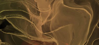 Renkli fırça elementleri olan zarif bir afiş tasarımı. Soyut dekorasyon. Vektör illüstrasyonu.