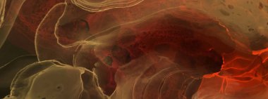 Renkli fırça elementleri olan zarif bir afiş tasarımı. Soyut dekorasyon. Vektör illüstrasyonu.