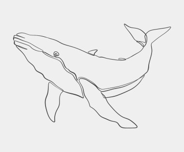 Bir kambur balina çizimi, zarif şeklini minimalist ve soyut bir sanat tarzında sergiliyor..