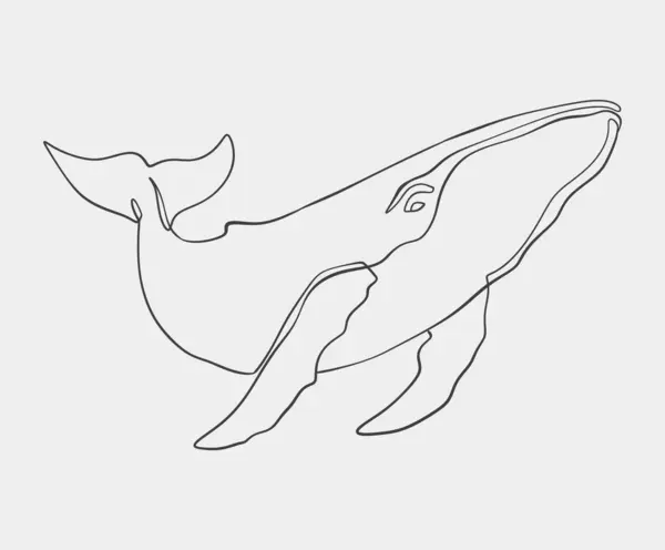 stock vector One-line drawing of a humpback whale, showcasing its elegant form in a minimalist and abstract art style.