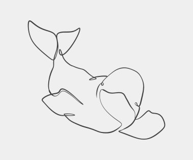 Beluga balinasının basit bir çizimi, minimalist tarzda, pürüzsüz kıvrımlar ve beyaz arka planda temiz bir tasarım içeriyor..