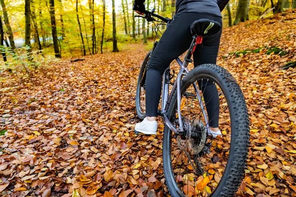 Woman riding bicycle in city forest in autumn scenery