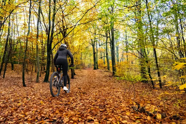Kvinna Ridning Cykel Stadsskogen Höst Landskap — Stockfoto