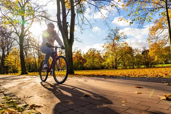 秋天风景中的城市森林里骑自行车的女人 图库图片
