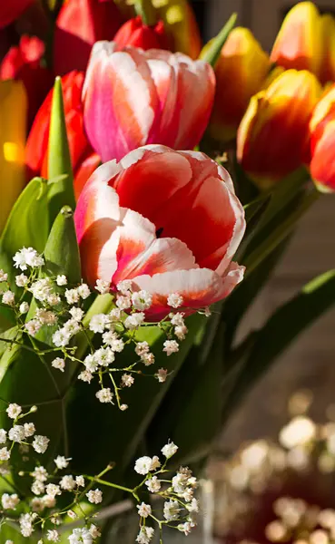 Decoración Los Tulipanes Primaverales Tiempo Pascua —  Fotos de Stock
